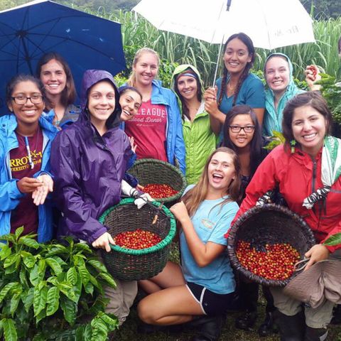 Coffee Experiences in Monteverde Costa Rica