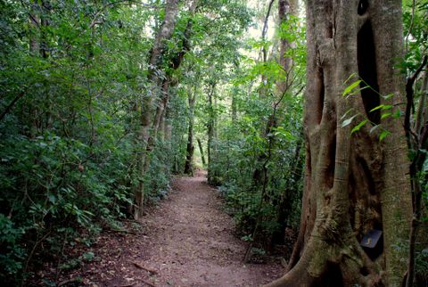 Things to do in Monteverde Costa Rica