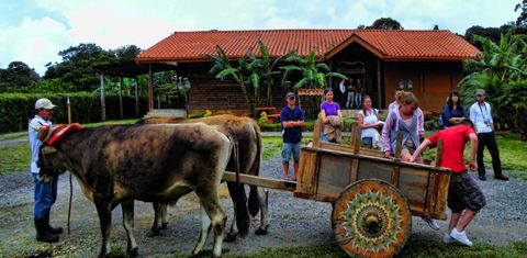 Don Juan Coffee, Chocolate & Sugar Cane Tour