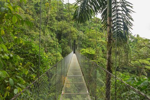 Things to do in Monteverde Costa Rica