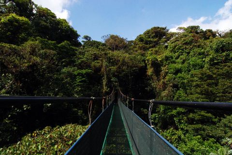 Things to do in Monteverde Costa Rica