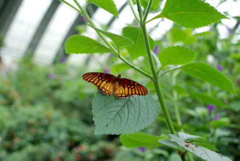Things to do in Monteverde Costa Rica