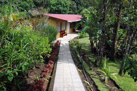 El Bosque Lodge - Monteverde Costa Rica