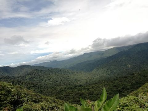 Monteverde Cloud Forest Reserve Costa Rica - Info