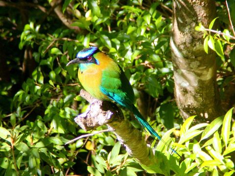 Things to do in Monteverde Costa Rica