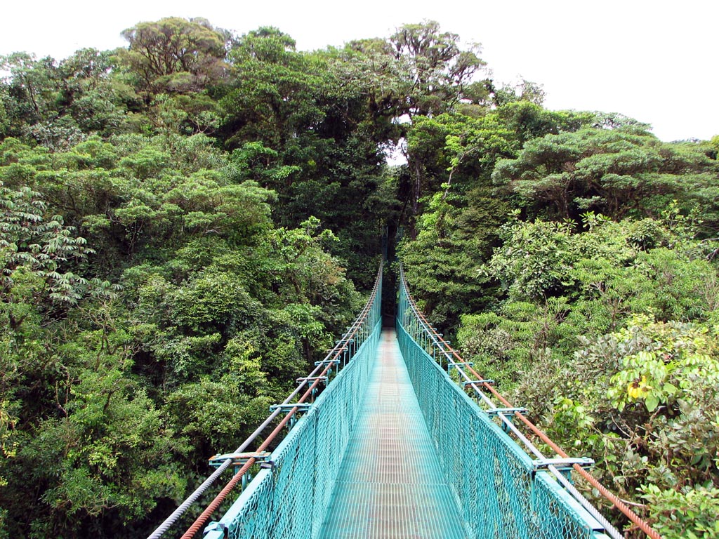 Vacation planning for Costa Rica & Monteverde