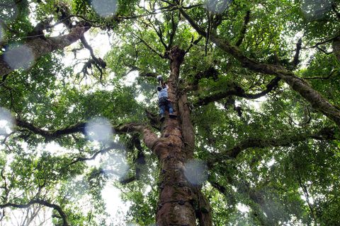 Things to do in Monteverde Costa Rica