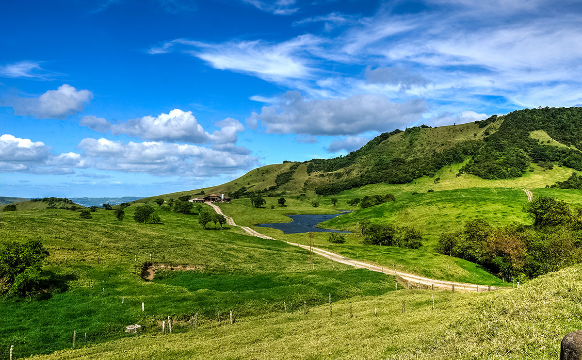 A road runs down the rolling green hills of Monteverde, surrounded by blue skies and white clouds