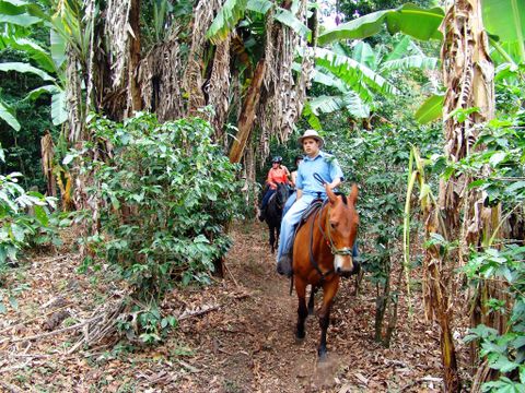 Horseback Riding