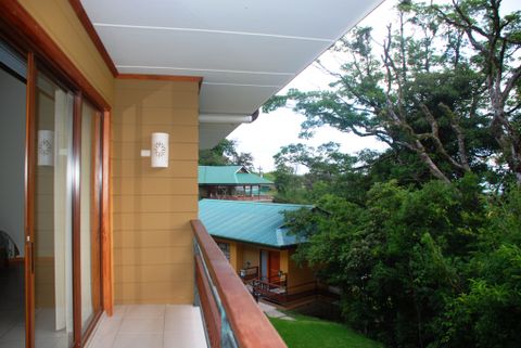 Ficus Sunset Suites Monteverde Costa Rica